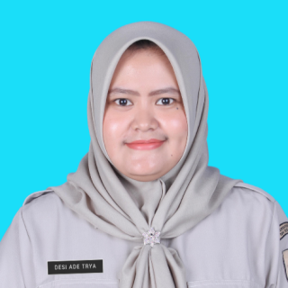 Desi Ade Trya, S.E., M.Ec.Dev.